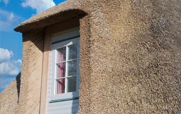 Metcombe thatch roof disadvantages